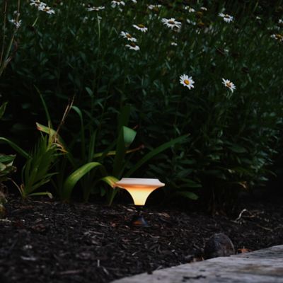 Image showing  Solar-Powered White Integrated-LED Outdoor Martini Lamp Lights, 25 Lumens, 2 Pack
