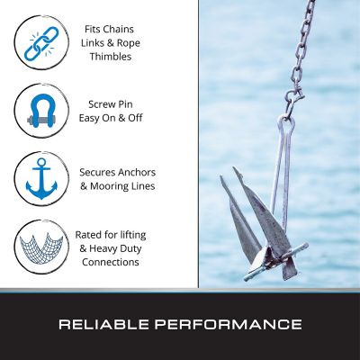 Image showing 5 th Tie Down Shackle Screw Pin 5/16 Ss, 2 pk.