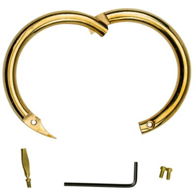 Image showing  SHARPVET Brass Bull Ring