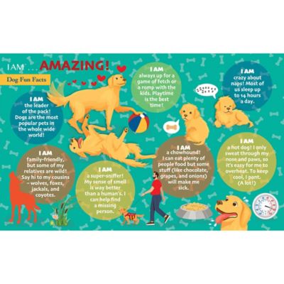 Image showing 6 th Madd Capp Puzzles I Am Dog, 24 pc. Puzzle