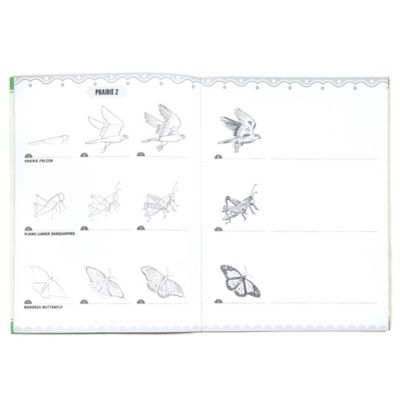 Image showing  Learn to Draw: Bugs, Birds & Butterflies