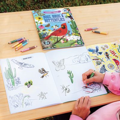 Image showing  Learn to Draw: Bugs, Birds & Butterflies
