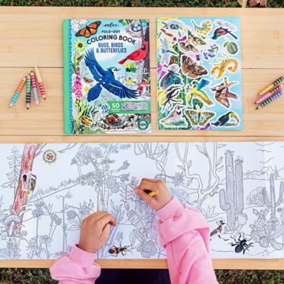 Image showing  Fold-Out Coloring Book: Bugs, Birds & Butterflies