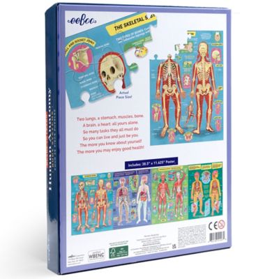 Image showing 1 th eeBoo Ready to Learn: Human Anatomy - (4) 48 pc. Puzzles
