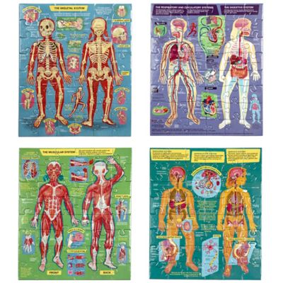 Image showing 2 th eeBoo Ready to Learn: Human Anatomy - (4) 48 pc. Puzzles