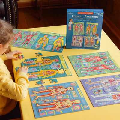 Image showing 3 th eeBoo Ready to Learn: Human Anatomy - (4) 48 pc. Puzzles