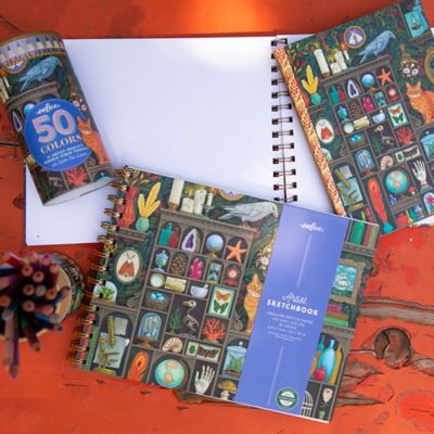 Image showing  Sketchbook: Alchemists Cabinet