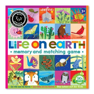 Image showing  Memory & Matching Game - Life on Earth