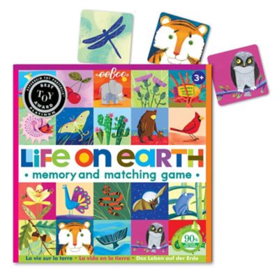 Image showing  Memory & Matching Game - Life on Earth