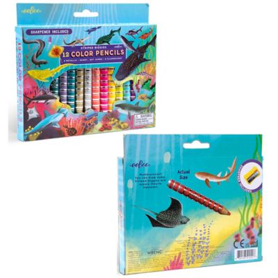 Image showing 5 th eeBoo Biggies Color Pencils: Shark Striped, 12 pc.