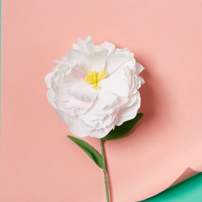 Image showing 8 th Hinkler Create Your Own Paper Flowers
