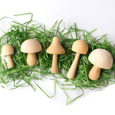 Image showing 6 th Hinkler Paint Your Own Wooden Mushrooms