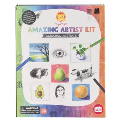 Tiger Tribe Paint-A-Picture, Butterflies & Flowers