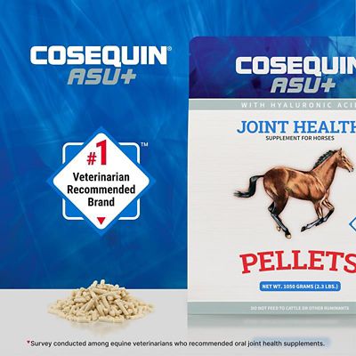 Image showing  ASU Plus Joint Health Supplement Pellets for Horses, 1050 g
