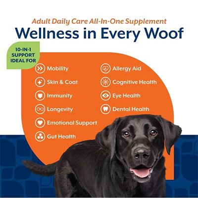 Image showing  Adult Dog Daily Care All-In-One Supplement with 10-in-1 Support, Hickory Smoked Bacon Flavor, 60 Soft Chews