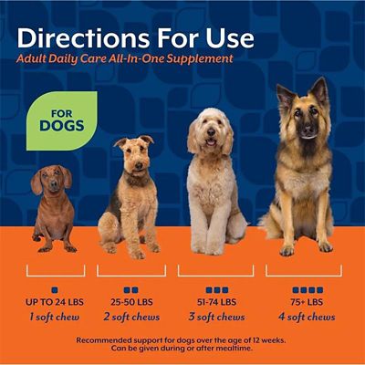 Image showing  Adult Dog Daily Care All-In-One Supplement with 10-in-1 Support, Hickory Smoked Bacon Flavor, 60 Soft Chews