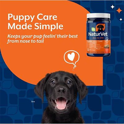 Image showing  Puppy Daily Care All-In-One Supplement with 6-in-1 Support, Hickory Smoked Bacon Flavor, 60 Soft Chews