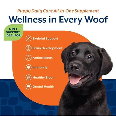 Image showing  Puppy Daily Care All-In-One Supplement with 6-in-1 Support, Hickory Smoked Bacon Flavor, 60 Soft Chews