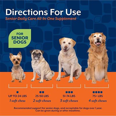 Image showing  Senior Dog Daily Care All-In-One Supplement with 8-in-1 Support, Hickory Smoked Bacon Flavor, 60 Soft Chews