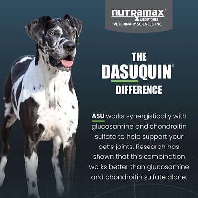 Image showing  Dasuquin with MSM Soft Chews for Dogs