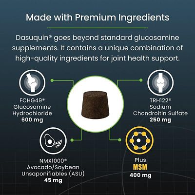 Image showing  Dasuquin with MSM Soft Chews for Dogs