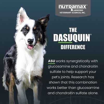 Image showing  Dasuquin with MSM Soft Chews for Dogs