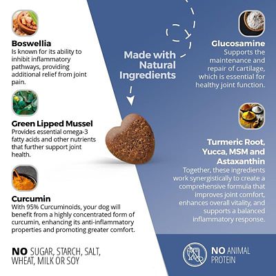 Image showing  Senior Joint & Muscle Soft Chews for Dogs, 60 ct.