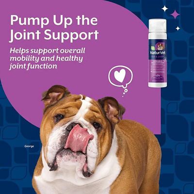 Image showing  Lickable Hip & Joint Health Supplement for Dogs, Peanut Butter Flavor, 6.4 fl. oz.