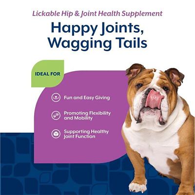 Image showing  Lickable Hip & Joint Health Supplement for Dogs, Peanut Butter Flavor, 6.4 fl. oz.