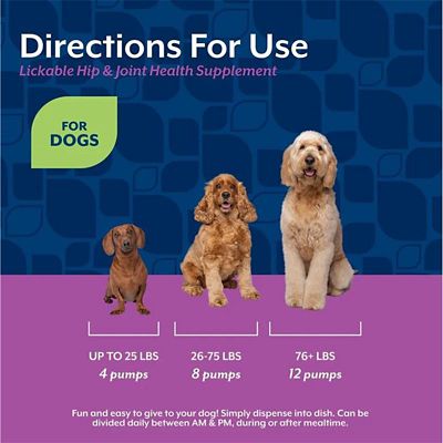 Image showing  Lickable Hip & Joint Health Supplement for Dogs, Peanut Butter Flavor, 6.4 fl. oz.