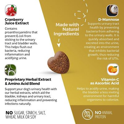 Image showing  Urinary, Bladder & Kidney Soft Chews for Dogs, 60 ct.