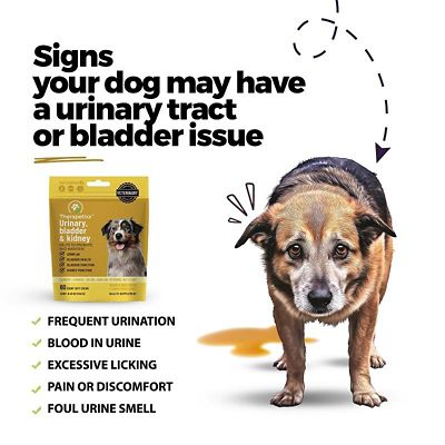 Image showing  Urinary, Bladder & Kidney Soft Chews for Dogs, 60 ct.