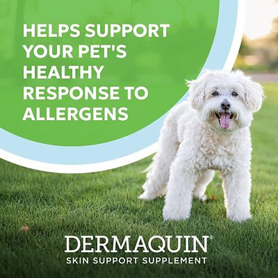 Image showing  Skin Support Supplement for Small to Medium Dogs and Cats, 60 Soft Chews