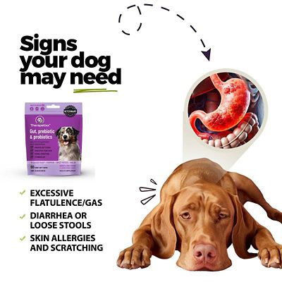 Image showing  Gut, Prebiotic & Probiotics Soft Chews for Dogs, 60 ct.