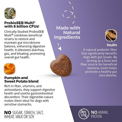 Image showing  Gut, Prebiotic & Probiotics Soft Chews for Dogs, 60 ct.