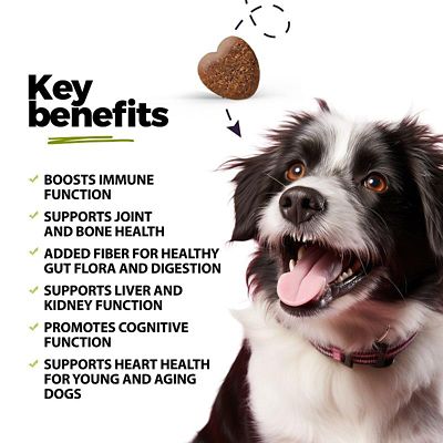 Image showing  Super Multivitamin CoQ10 & Probiotic Soft Chews for Dogs, 60 ct.