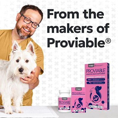 Image showing  Filaquin Anal Gland Supplement for Dogs, 90 Soft Chews