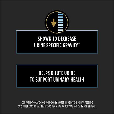 Image showing  Veterinary Supplements Hydra Care for Cats