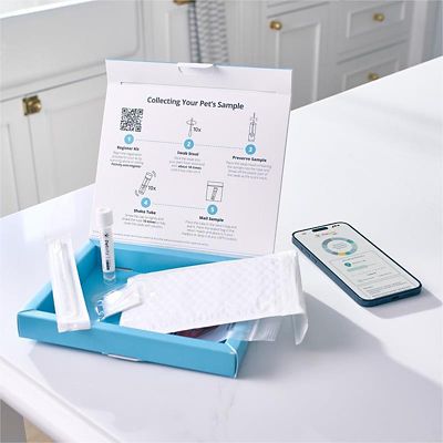 Image showing  Petivity Microbiome Advanced Analysis Kit for Dogs and Cats