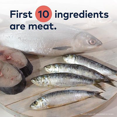 Image showing  Peak All Life Stages Steam & Dried Beef with Southern Blue Whiting Recipe Dry Cat Food