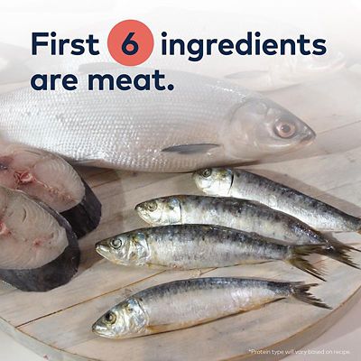 Image showing  Peak All Life Stages Steam & Dried Wild South Pacific Fish Recipe Dry Cat Food