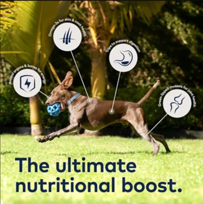 Image showing  Peak All Life Stages Mackerel & Lamb Recipe Air-Dried Dog Food