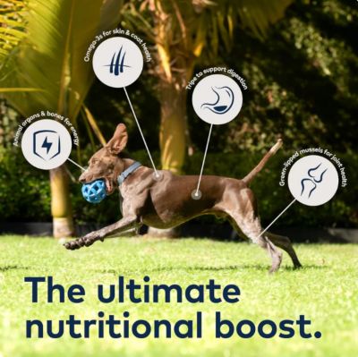 Image showing  Peak All Life Stages Beef Recipe Air-Dried Dog Food