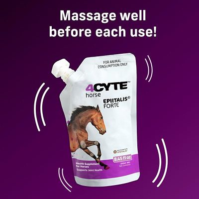 Image showing  4CYTE Epiitalis Forte Gel Joint Supplement for Horses
