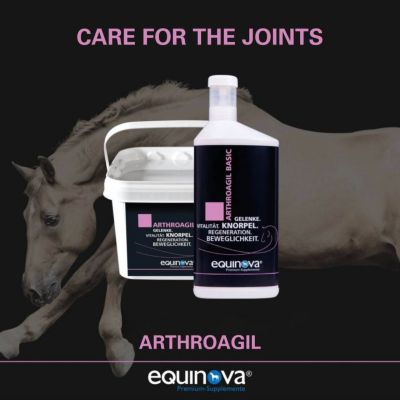 Image showing  Arthroagil Basic Powder 3.3 lb.