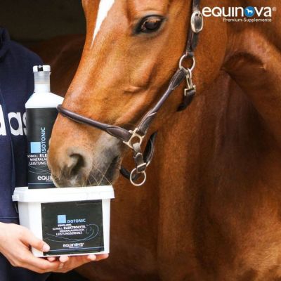 Image showing 2 th equinova Isotonic Liquid 1 L Bottle