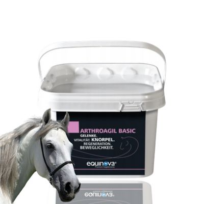 Image showing  Arthroagil 1 L Liquid