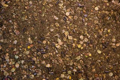 Image showing  Pur Muscle Horse Feed, 44 lb. Bag