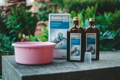 Image showing  Mobility HCC