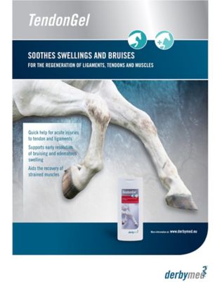 Image showing  Tendon Gel 8.5 oz.